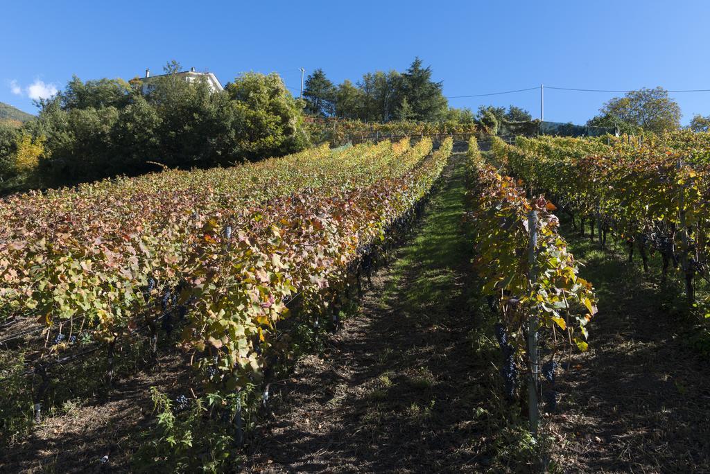 Agriturismo Gli Elfi Aosta Luaran gambar